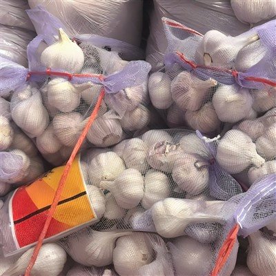 Global Garlic Trade Meets in Jinxiang